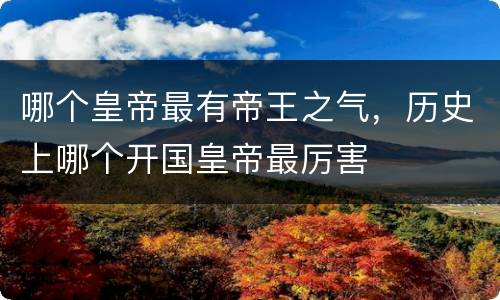 哪个皇帝最有帝王之气，历史上哪个开国皇帝最厉害