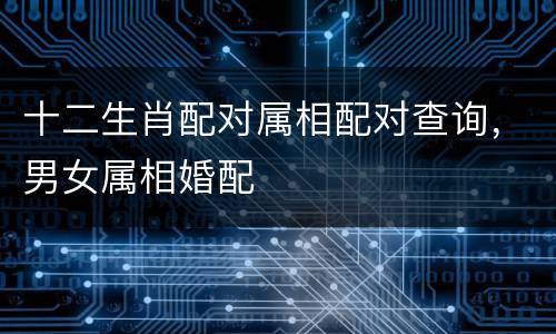 十二生肖配对属相配对查询，男女属相婚配