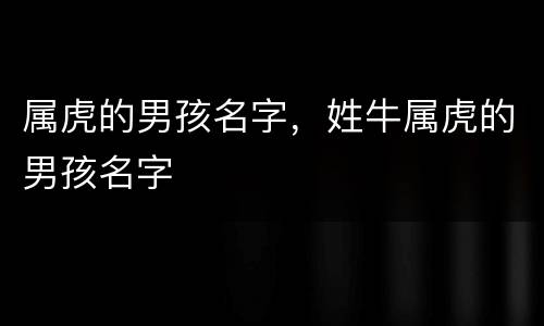 属虎的男孩名字，姓牛属虎的男孩名字