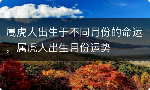 属虎人出生于不同月份的命运，属虎人出生月份运势