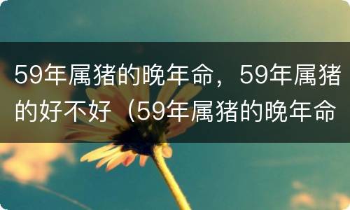 59年属猪的晚年命，59年属猪的好不好（59年属猪的晚年命,59年属猪的好不好）