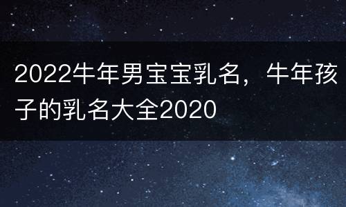 2022牛年男宝宝乳名，牛年孩子的乳名大全2020