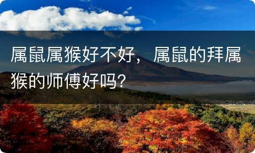 属鼠属猴好不好，属鼠的拜属猴的师傅好吗？