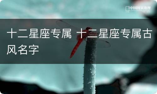 十二星座专属 十二星座专属古风名字