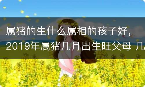 属猪的生什么属相的孩子好，2019年属猪几月出生旺父母 几月