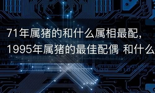71年属猪的和什么属相最配，1995年属猪的最佳配偶 和什么