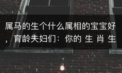 属马的生个什么属相的宝宝好，育龄夫妇们：你的 生 肖 生 啥