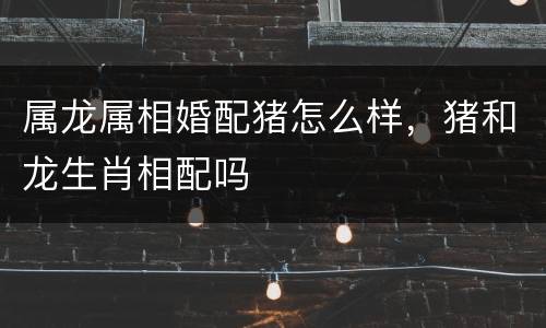 属龙属相婚配猪怎么样，猪和龙生肖相配吗