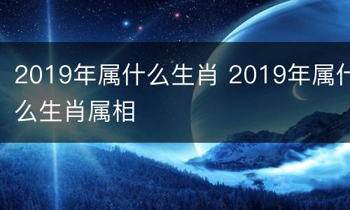 2019年属什么生肖 2019年属什么生肖属相