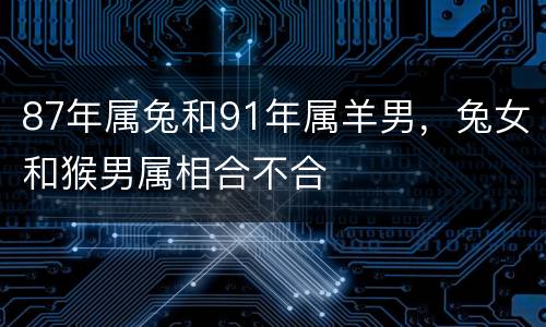 87年属兔和91年属羊男，兔女和猴男属相合不合