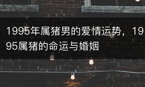 1995年属猪男的爱情运势，1995属猪的命运与婚姻