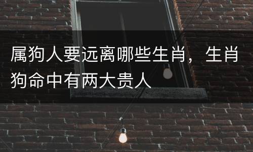 属狗人要远离哪些生肖，生肖狗命中有两大贵人