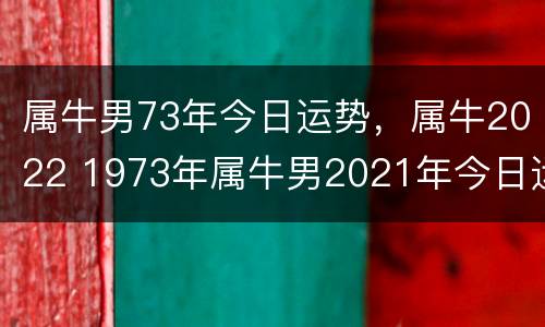 属牛男73年今日运势，属牛2022 1973年属牛男2021年今日运势