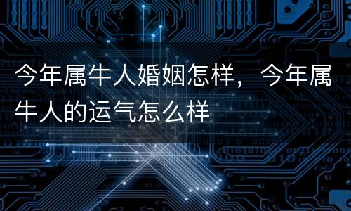 今年属牛人婚姻怎样，今年属牛人的运气怎么样