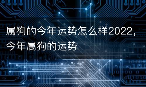 属狗的今年运势怎么样2022，今年属狗的运势