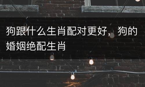 狗跟什么生肖配对更好，狗的婚姻绝配生肖