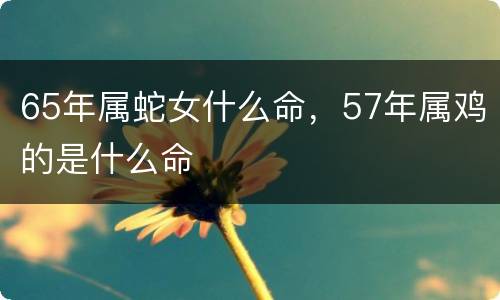 65年属蛇女什么命，57年属鸡的是什么命