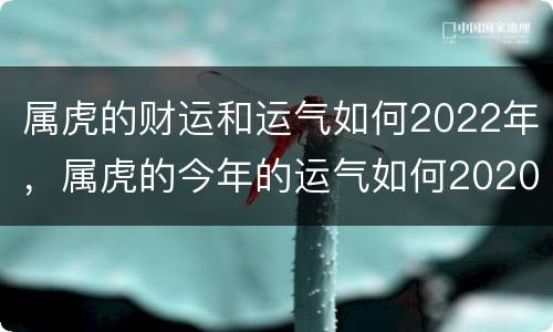 属虎的财运和运气如何2022年，属虎的今年的运气如何2020