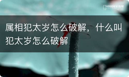 属相犯太岁怎么破解，什么叫犯太岁怎么破解