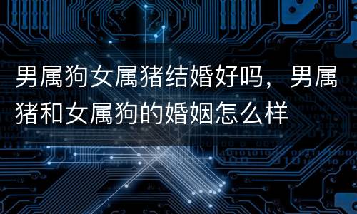 男属狗女属猪结婚好吗，男属猪和女属狗的婚姻怎么样