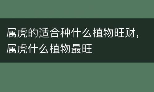 属虎的适合种什么植物旺财，属虎什么植物最旺