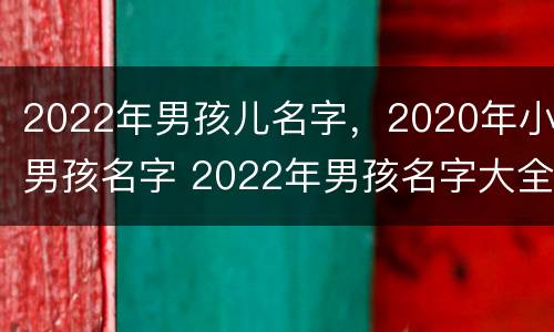 2022年男孩儿名字，2020年小男孩名字 2022年男孩名字大全