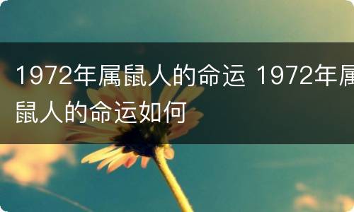 1972年属鼠人的命运 1972年属鼠人的命运如何