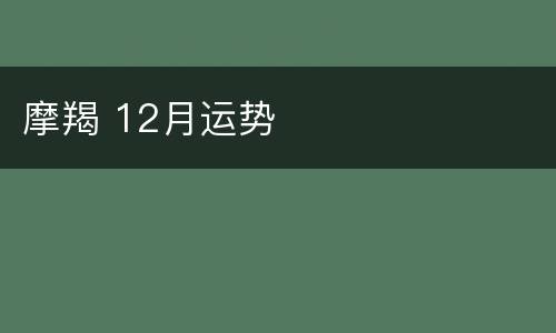 摩羯 12月运势