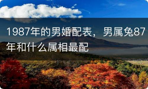 1987年的男婚配表，男属兔87年和什么属相最配