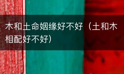 木和土命姻缘好不好（土和木相配好不好）