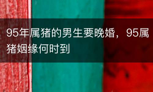 95年属猪的男生要晚婚，95属猪姻缘何时到
