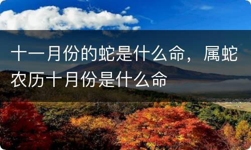 十一月份的蛇是什么命，属蛇农历十月份是什么命