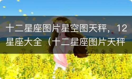 十二星座图片星空图天秤，12星座大全（十二星座图片天秤座图片）
