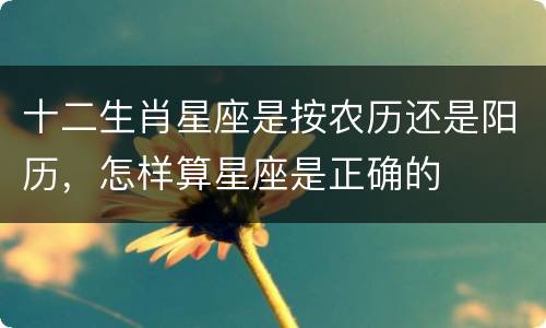 十二生肖星座是按农历还是阳历，怎样算星座是正确的