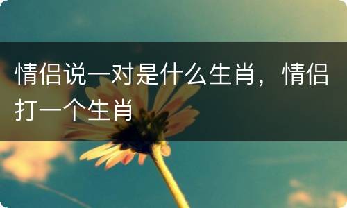 情侣说一对是什么生肖，情侣打一个生肖
