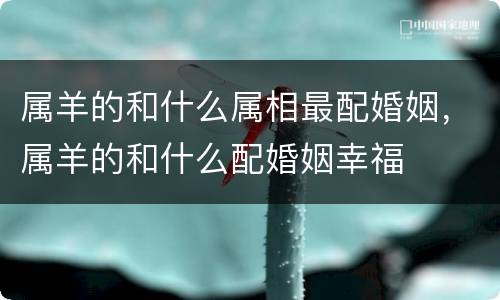 属羊的和什么属相最配婚姻，属羊的和什么配婚姻幸福