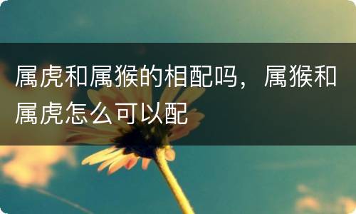 属虎和属猴的相配吗，属猴和属虎怎么可以配