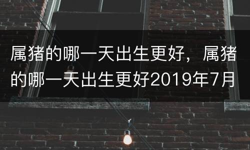 属猪的哪一天出生更好，属猪的哪一天出生更好2019年7月