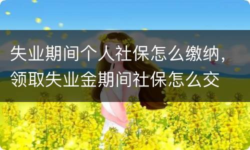 失业期间个人社保怎么缴纳，领取失业金期间社保怎么交