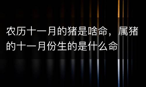 农历十一月的猪是啥命，属猪的十一月份生的是什么命