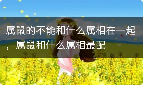属鼠的不能和什么属相在一起，属鼠和什么属相最配