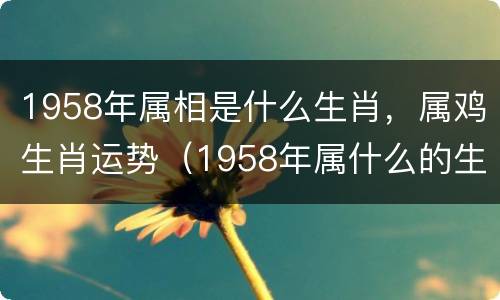 1958年属相是什么生肖，属鸡生肖运势（1958年属什么的生肖属相）