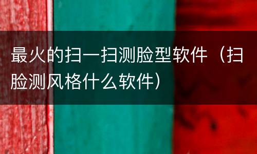 最火的扫一扫测脸型软件（扫脸测风格什么软件）
