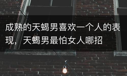 成熟的天蝎男喜欢一个人的表现，天蝎男最怕女人哪招