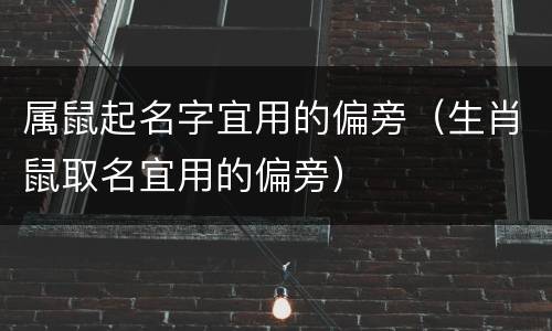 属鼠起名字宜用的偏旁（生肖鼠取名宜用的偏旁）