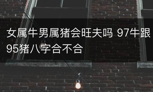 女属牛男属猪会旺夫吗 97牛跟95猪八字合不合