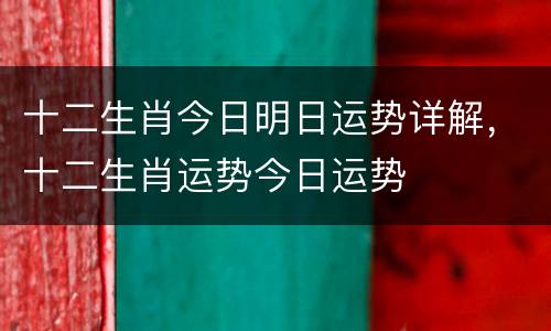 十二生肖今日明日运势详解，十二生肖运势今日运势