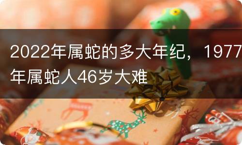 2022年属蛇的多大年纪，1977年属蛇人46岁大难
