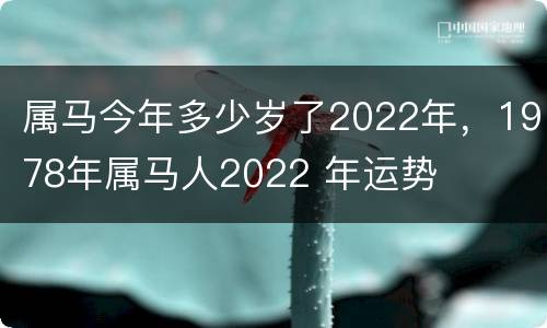 属马今年多少岁了2022年，1978年属马人2022 年运势