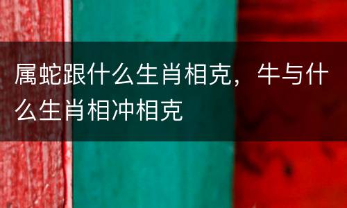 属蛇跟什么生肖相克，牛与什么生肖相冲相克